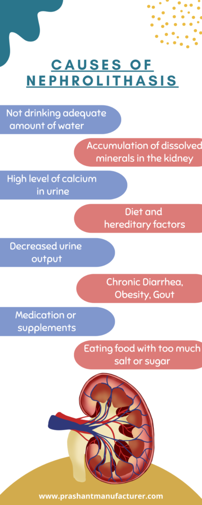 causes of renal calculi 